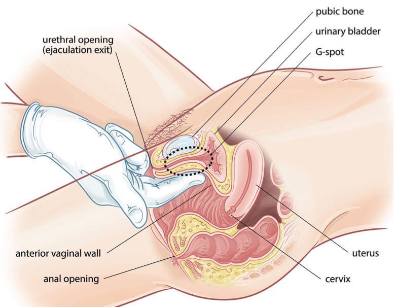 Ogil onasini jinsiy aloqa qilishga kondirishga harakat qiladi