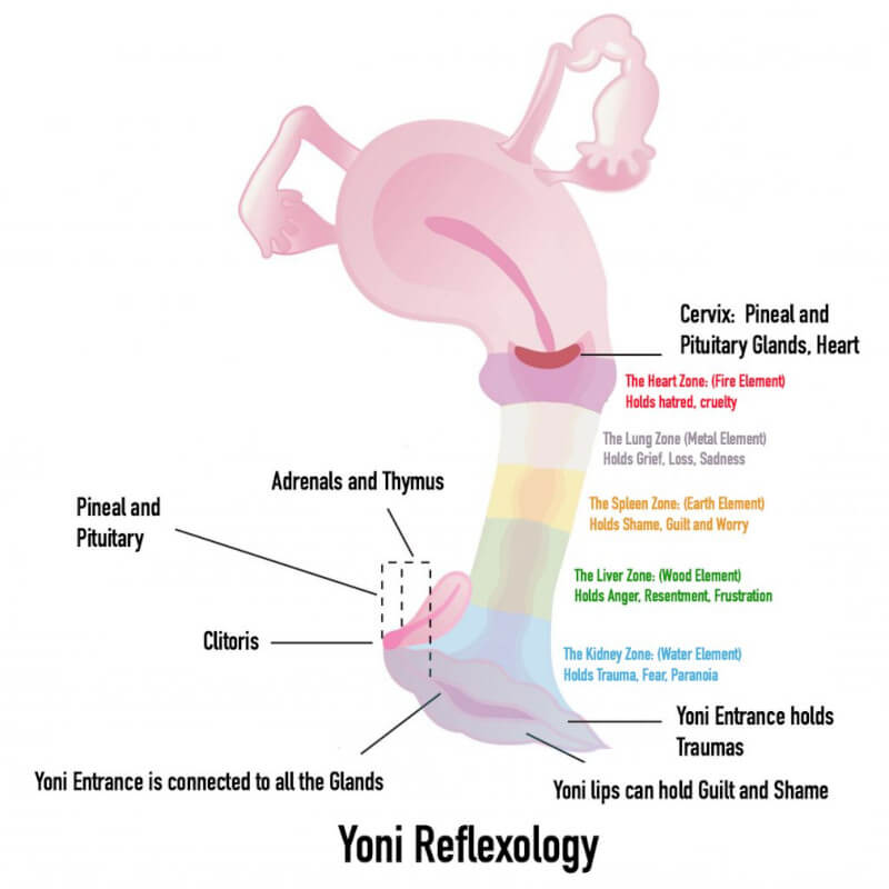 Yoni reflexology
